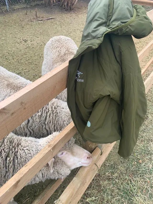 始祖鸟比肩爱马仕,始祖鸟产品定位高端