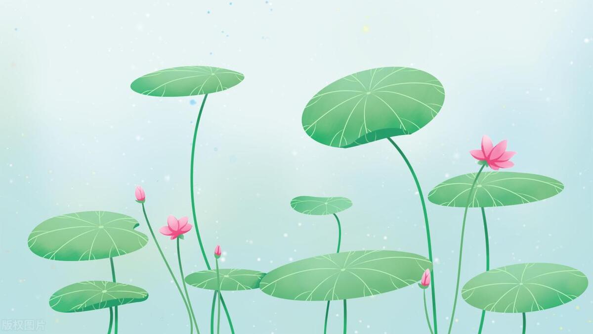 2023年三伏天二伏哪天开始,2023年三伏天是公伏还是母伏