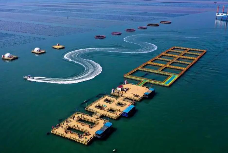 中美在南海最新局势消息,南海局势最新军事消息中美