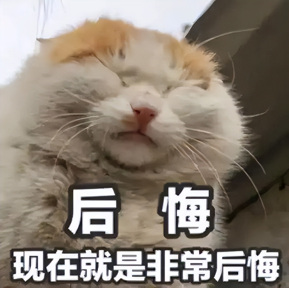 软件开发生命周期项目管理,软件的开发生命周期模型