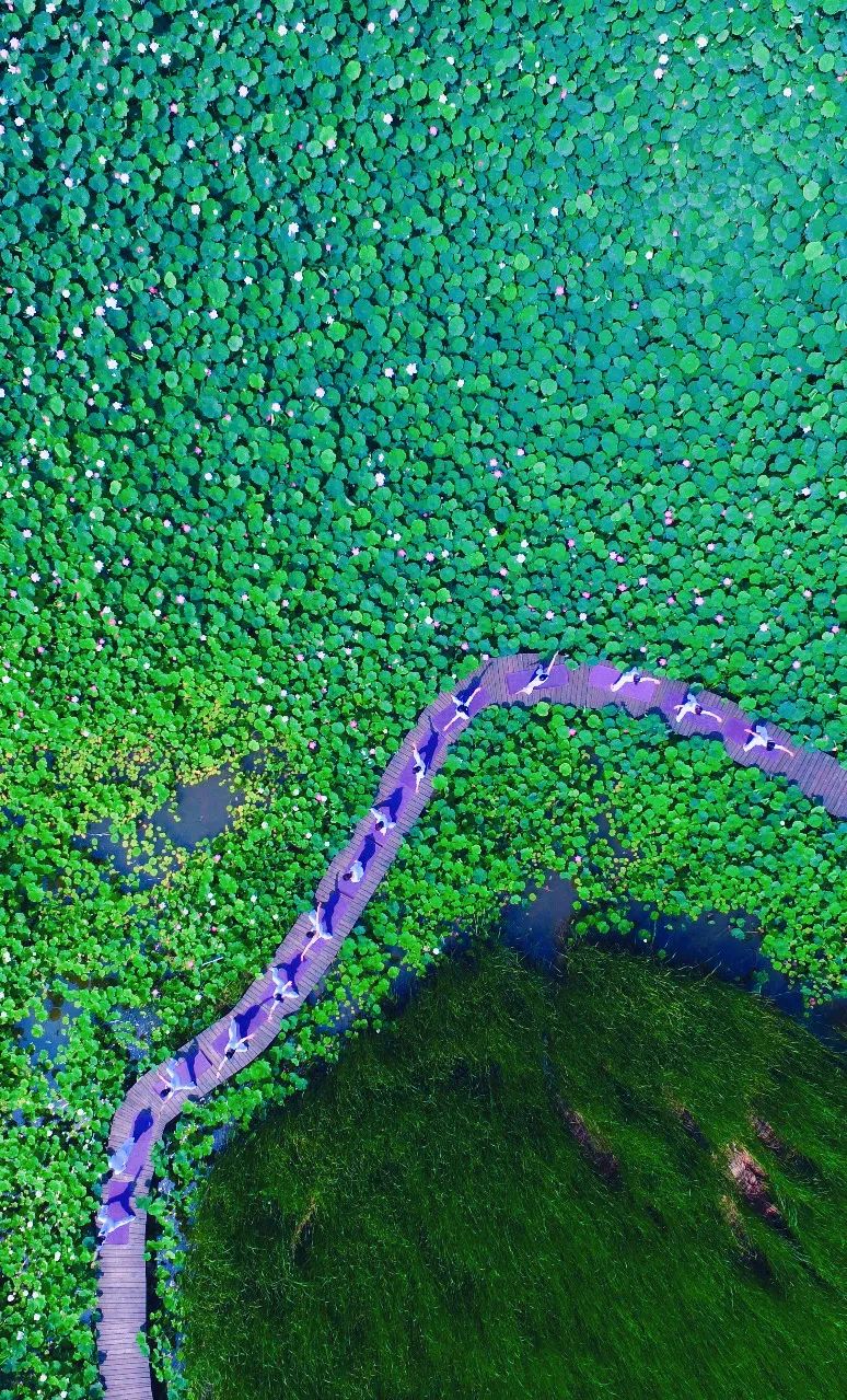 山东夏天去避暑最好的方法,夏日送清凉方案