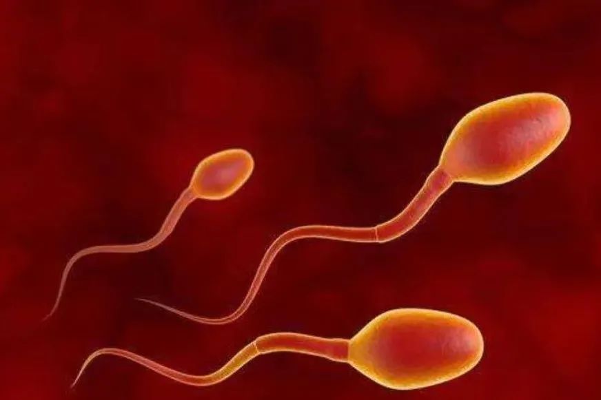 激情过后发现血精，是不治之症？还是性病？