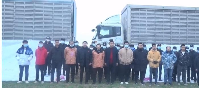 国际公棚鸽王赛奖杯,国际公棚赛