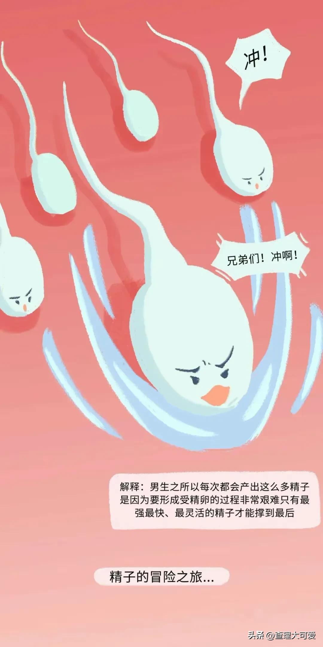 小蝌蚪找妈妈故事完整漫画,小蝌蚪漫画