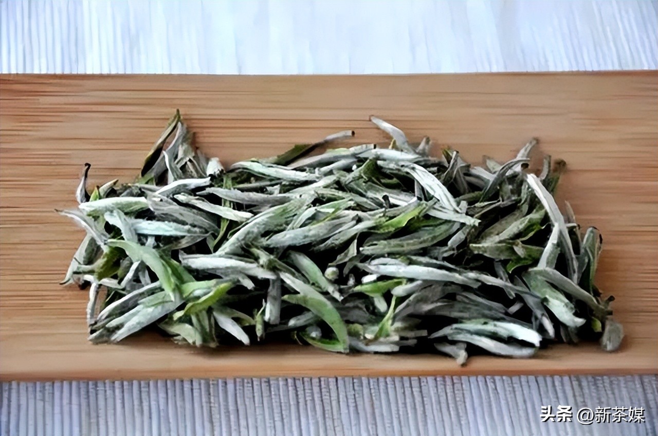 刀哥说茶普洱茶怎样审评才靠谱,刀哥说茶十问云南白茶