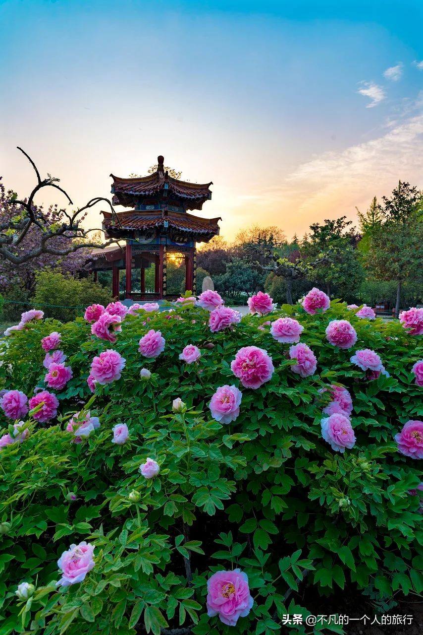 等疫情结束的优美句子,等疫情结束你最想做什么