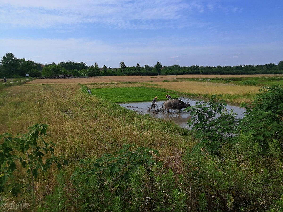 勤劳能致富后半句,勤劳就能致富的话