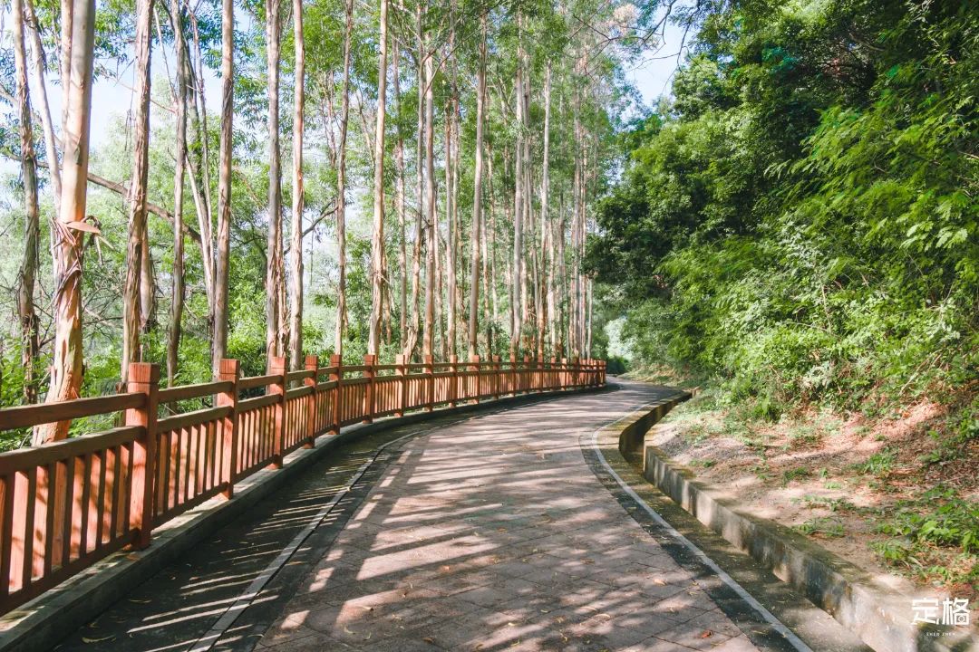 深圳周末带孩子免费游玩好去处,周末去哪玩推荐深圳