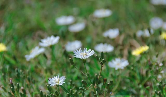 永恒的爱意一生的守候,永恒的爱心万年不变