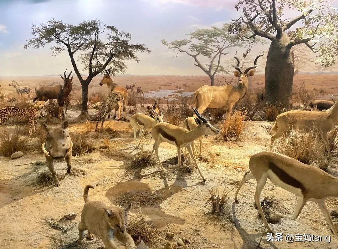 上海科技馆游玩全攻略,上海科技馆儿童馆攻略