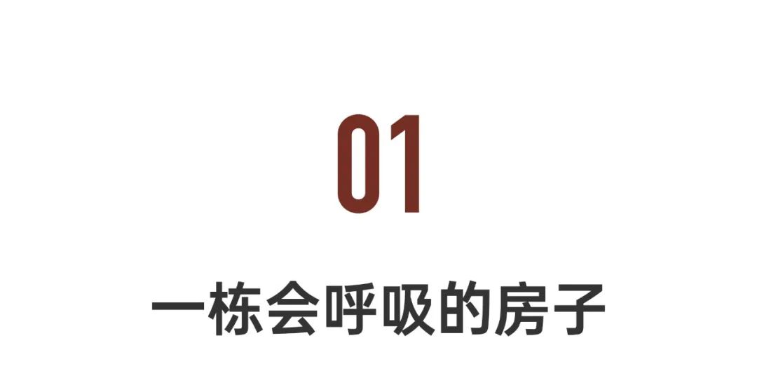 他用古法造400平方米房子,他用古法造400私宅