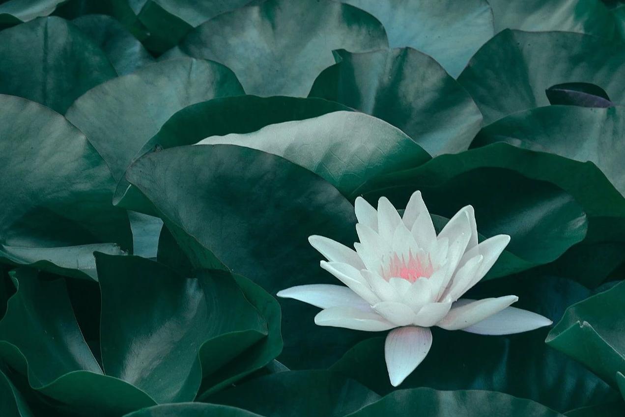 莫泊桑项链中最经典的话,莫泊桑项链的人生意义