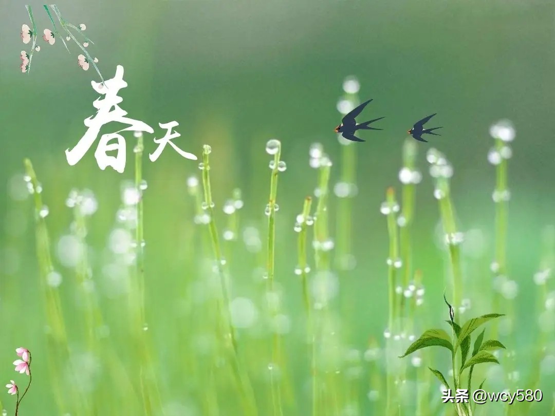 “苏山”、“永安”、“第X小学”？从校名之争说开去