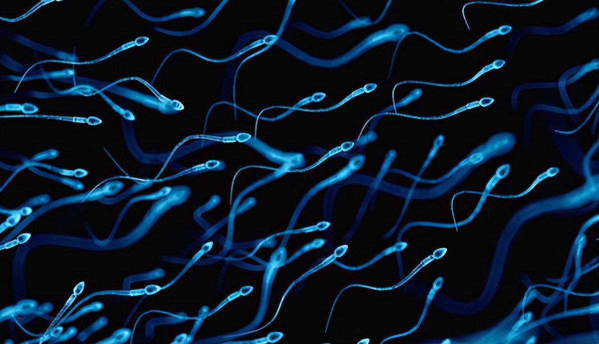 进入女性体内，没成功“受精”的精子都去了哪？这篇文章说清楚了