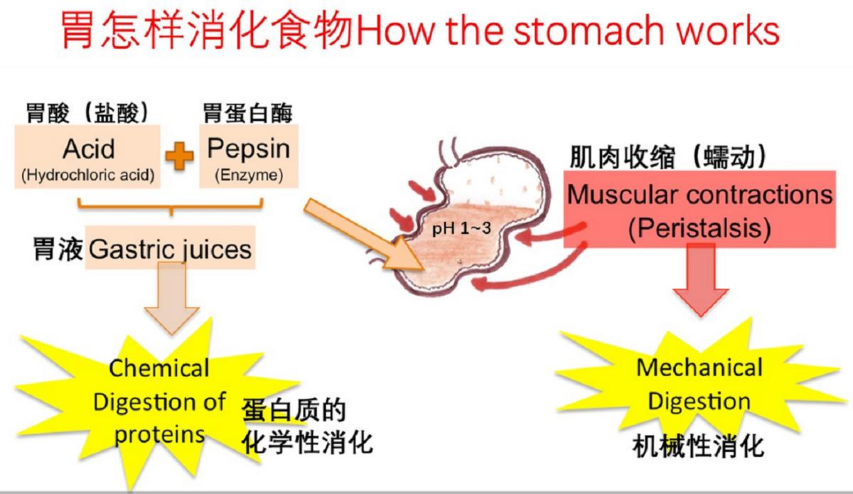 酸性越强氢离子越多吗,酸性越强非金属性越强吗