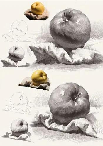 美术基础包括哪些内容,美术基础学什么专业