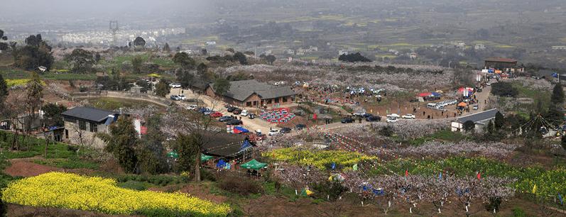 【乡村振兴】发掘杏文化培育杏产业助推乡村振兴——成都市青白江区地方文化服务福洪镇杏花村乡村振兴案例