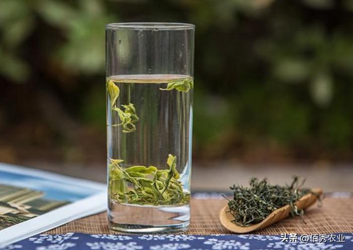 买茶时，别听商家“忽悠”，认准3个选茶标准，轻松买到天然佳茗