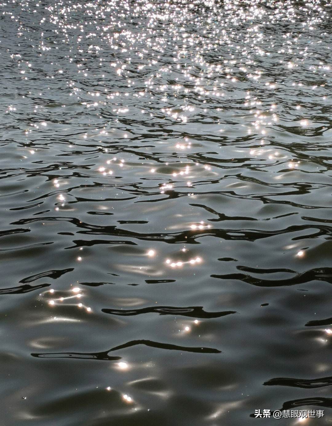 语文古诗词必背大全,古诗词考试必背诗句