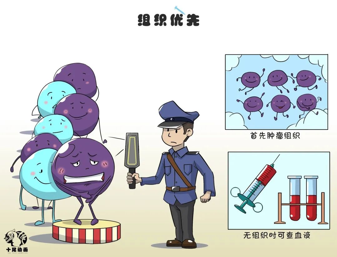 什么是靶向药治疗什么癌,什么是靶向治疗是怎么杀死肿瘤的