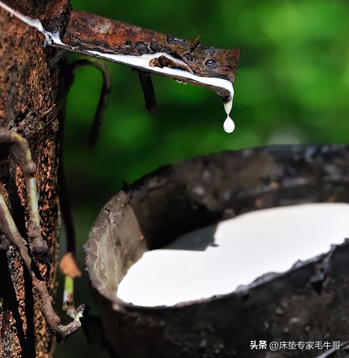 新手入门低价位高性价比床垫推荐,居家买床推荐什么品牌床垫