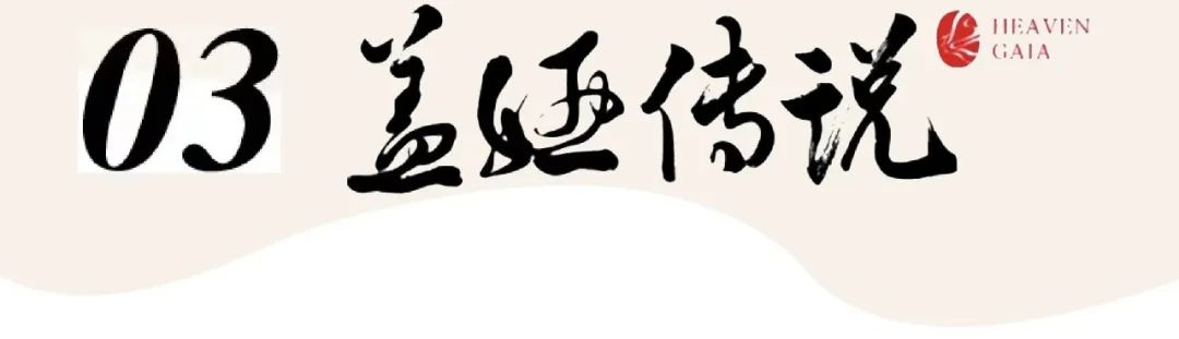 闪亮礼服时尚,闪亮礼服套装