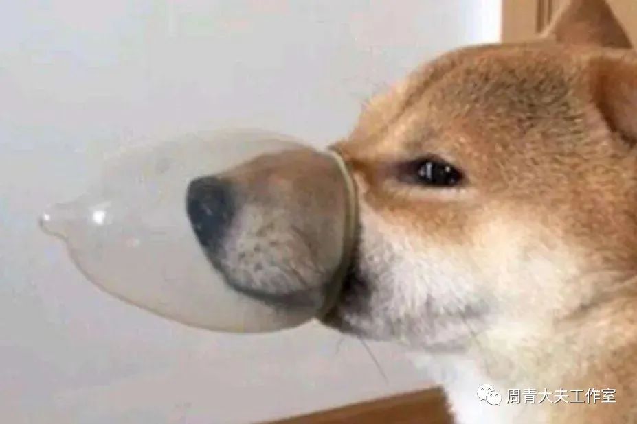 老司机教你如何快速挑选避孕套！最强避孕套科普