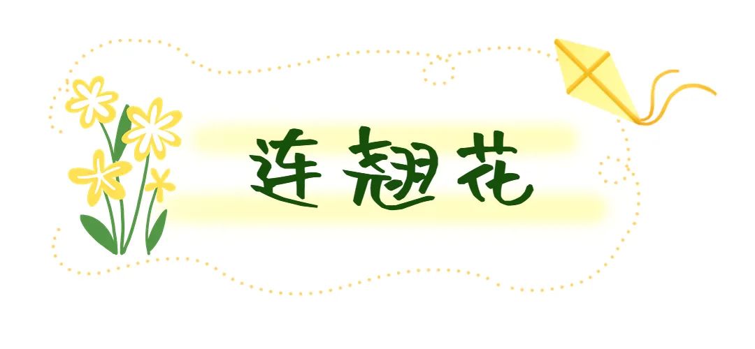 济南这个周末适合哪里赏花,济南春天赏花好去处