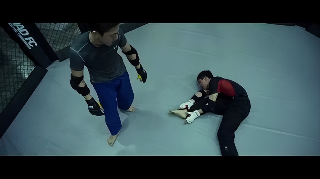 9部刷新票房纪录的高分电影,几部登顶年度票房冠军的电影