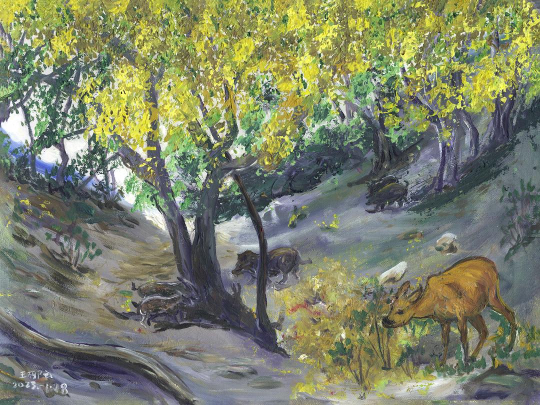 57岁北漂女工，在女厕3㎡管道间里画画：这里安放我的灵魂