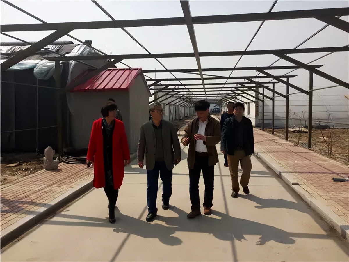 辛巴辛有志探索公益助农之路,辛巴辛有志公益助农