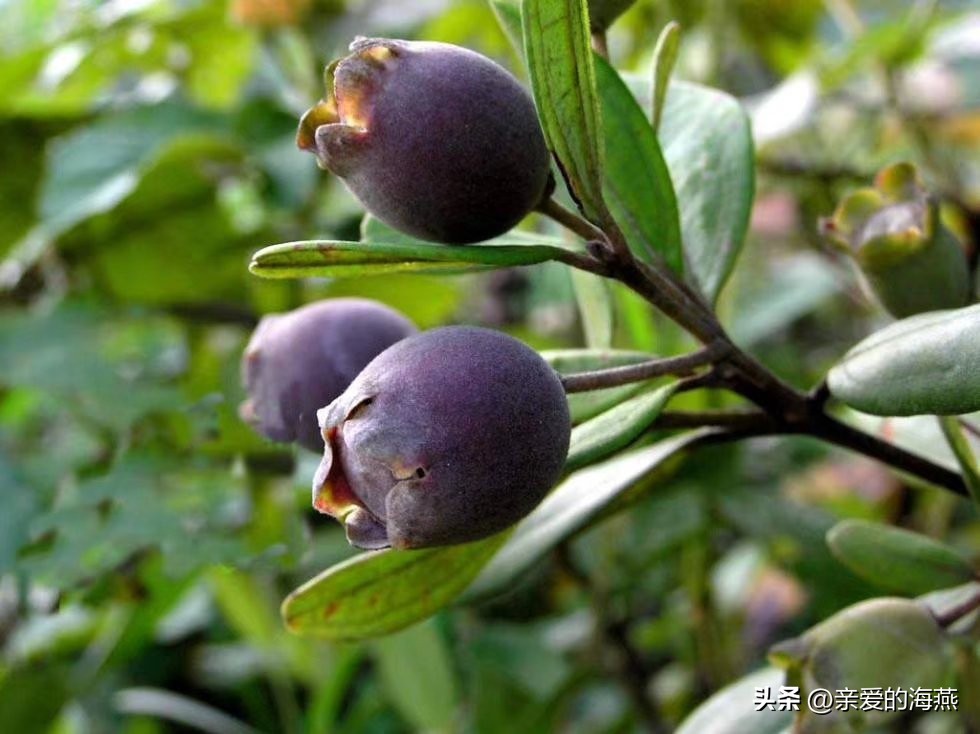 8090怀旧经典零食你都吃过哪些,中国最怀旧的58种经典零食