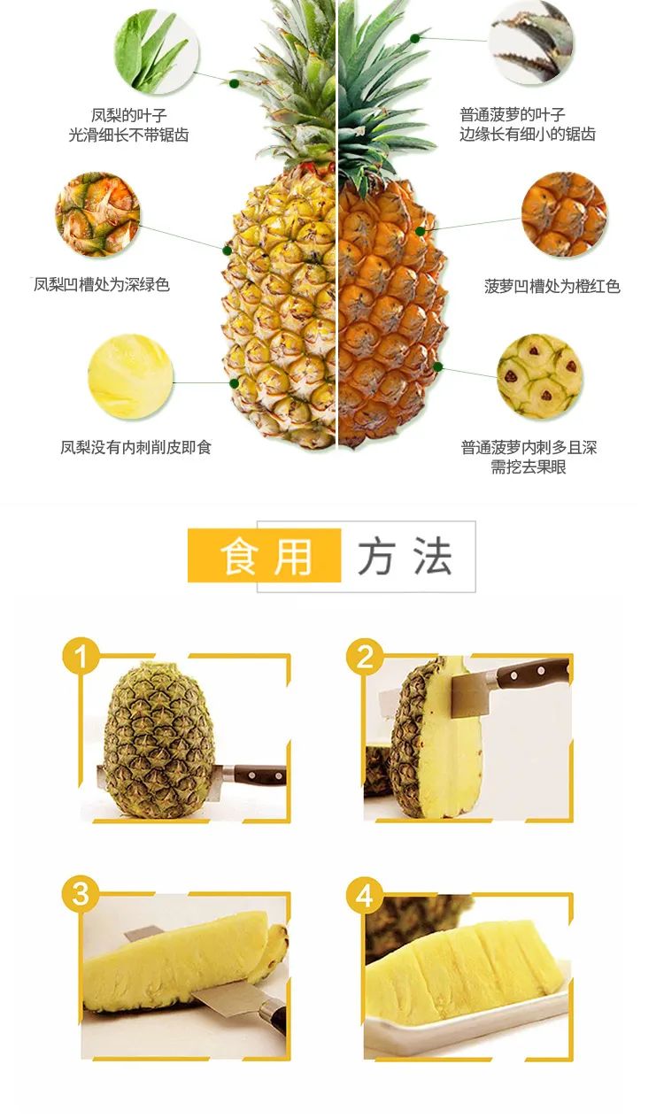 遇上凤梨，了解一个外表粗糙、内心甜美的“热带水果姑娘”！