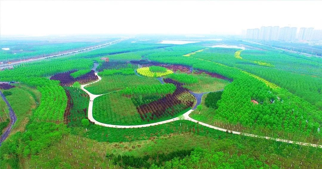 天津咸水沽旅游攻略,天津津南咸水沽美景