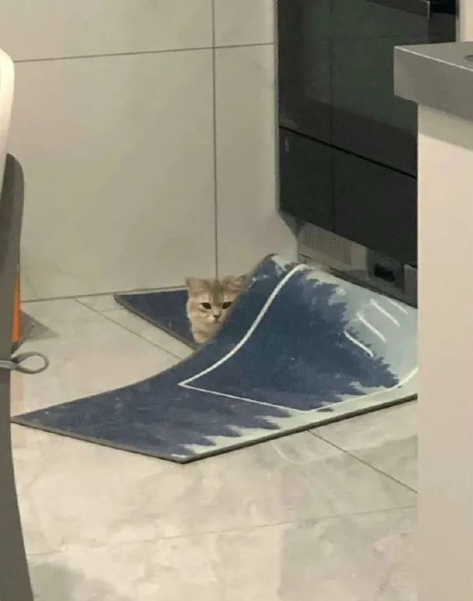 快乐源泉高能瞬间,快乐源泉8693