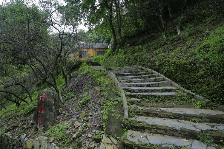 广东适合2-3天短途旅游城市,广东哪些城市适合旅游