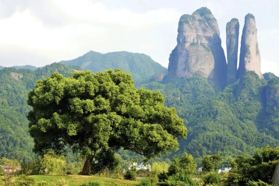 火热的周边游喂饱了本地生活,划算的周边游