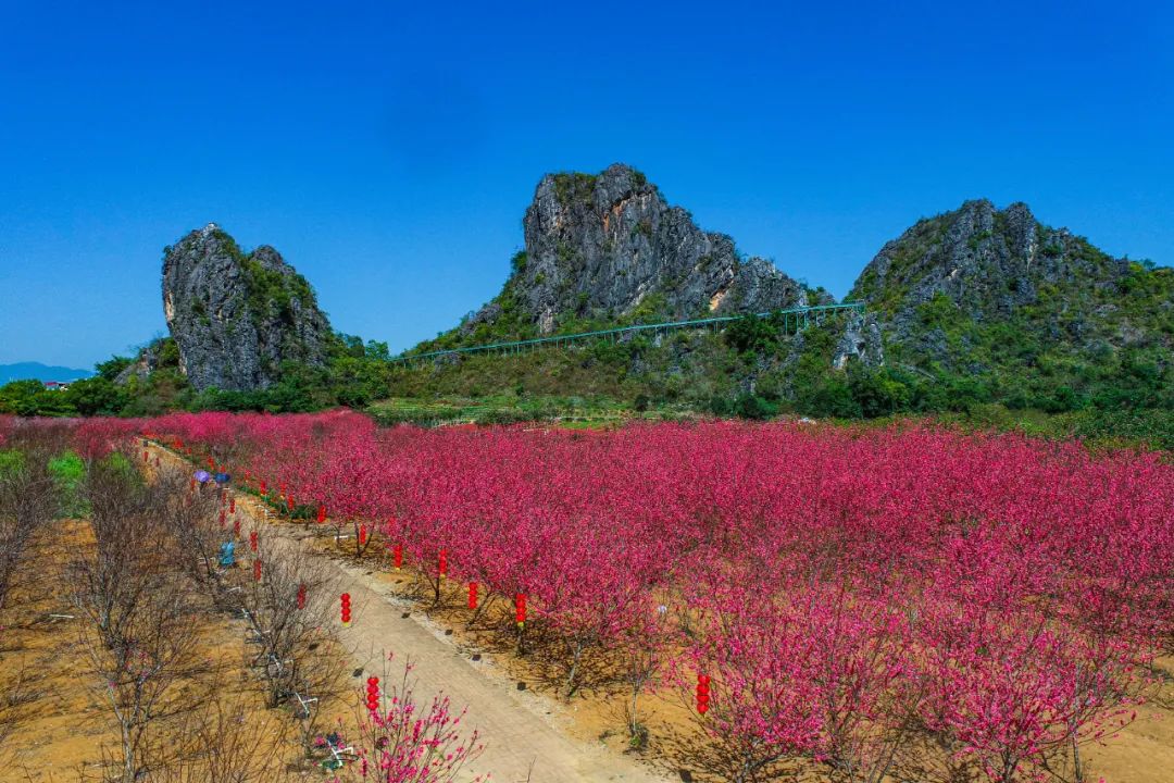 阳春有什么好玩的景点推荐,阳春有什么好玩的地方推荐