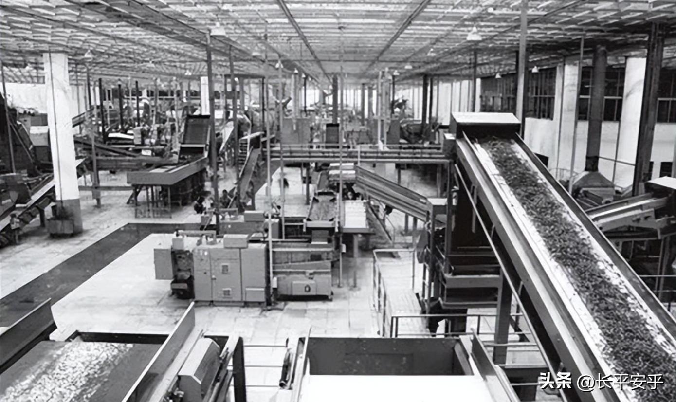 90年代抽红塔山属于什么档次,90年代红塔山味道