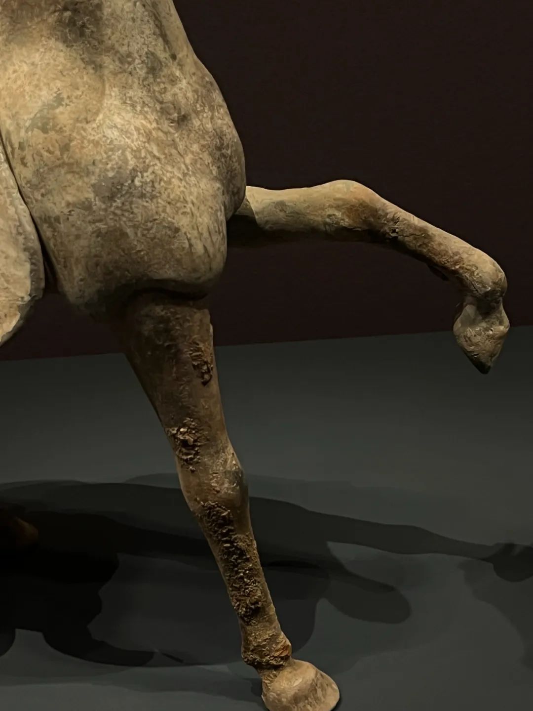 关中民俗博物馆文物游记,关中民俗博物志