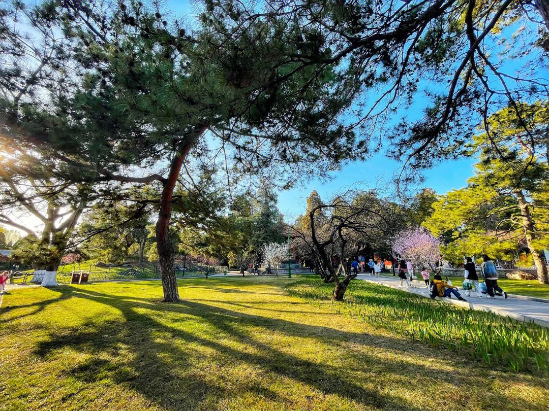 北京春天郊游踏青去哪里,4月北京最适合踏青赏花