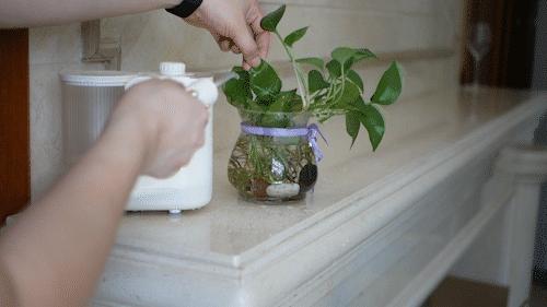 全家人的深层口腔清洁保障，OcareLink智能家庭款冲牙器