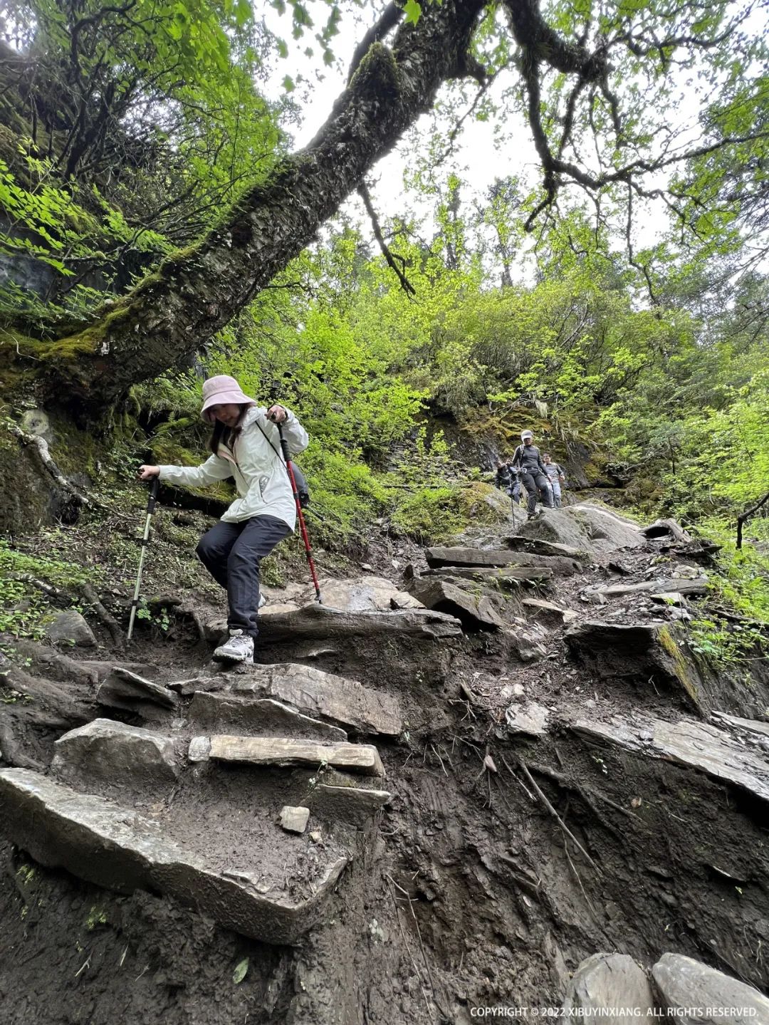 去雨崩村最好的季节,这辈子总要去趟雨崩村