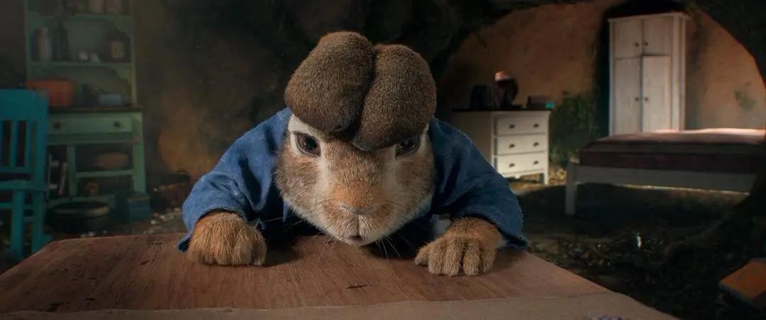 比得兔的故事书适合多大孩子看,比得兔儿童文学