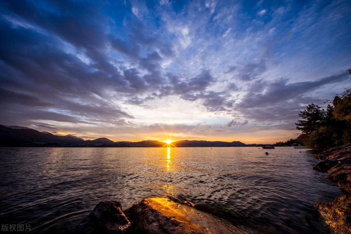 濂ュ湴鍒╁浗鏈夊寲绋嬪害,濂ュ湴鍒╁浗鏈夊寲