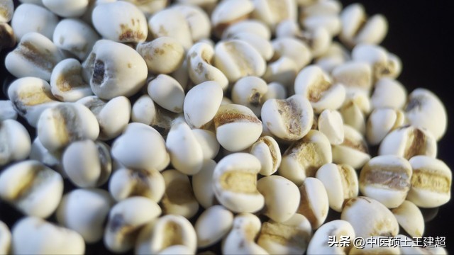 湿气重吃什么中药排湿气,湿气重吃了中药湿气从哪里排出