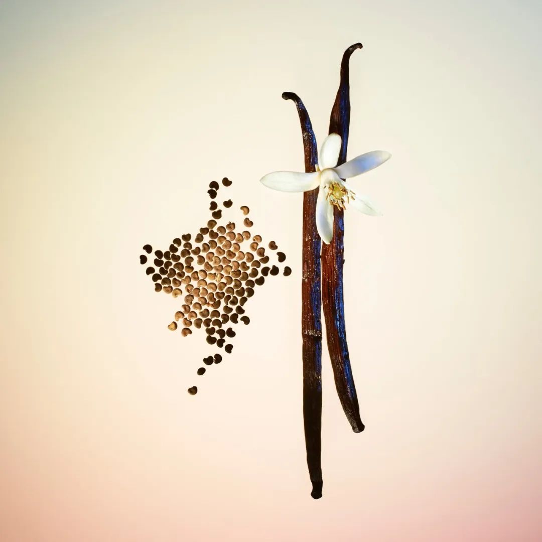 路易威登依靠香水,路易威登保值包包