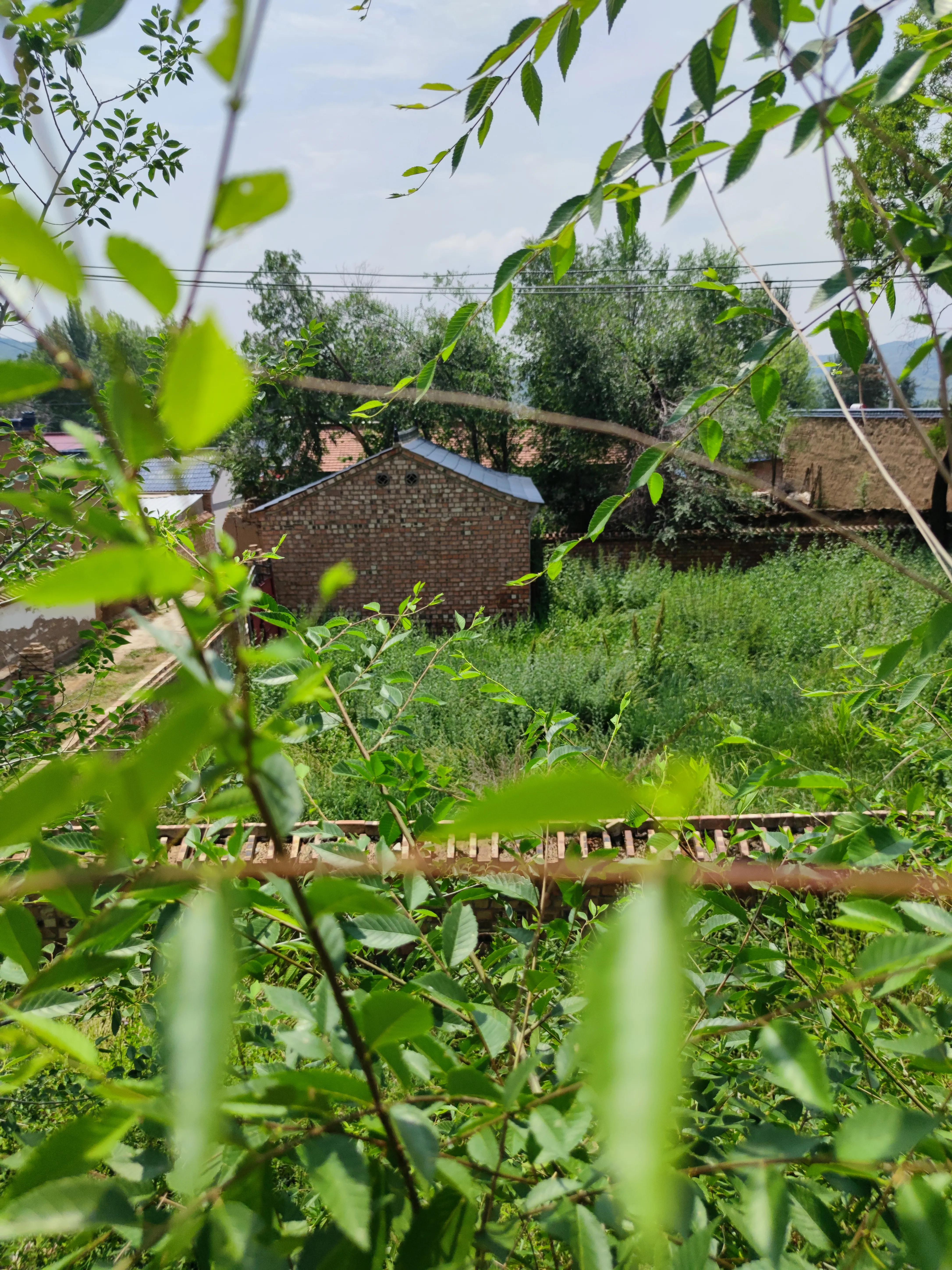 散文老家小院,怀念老家的散文