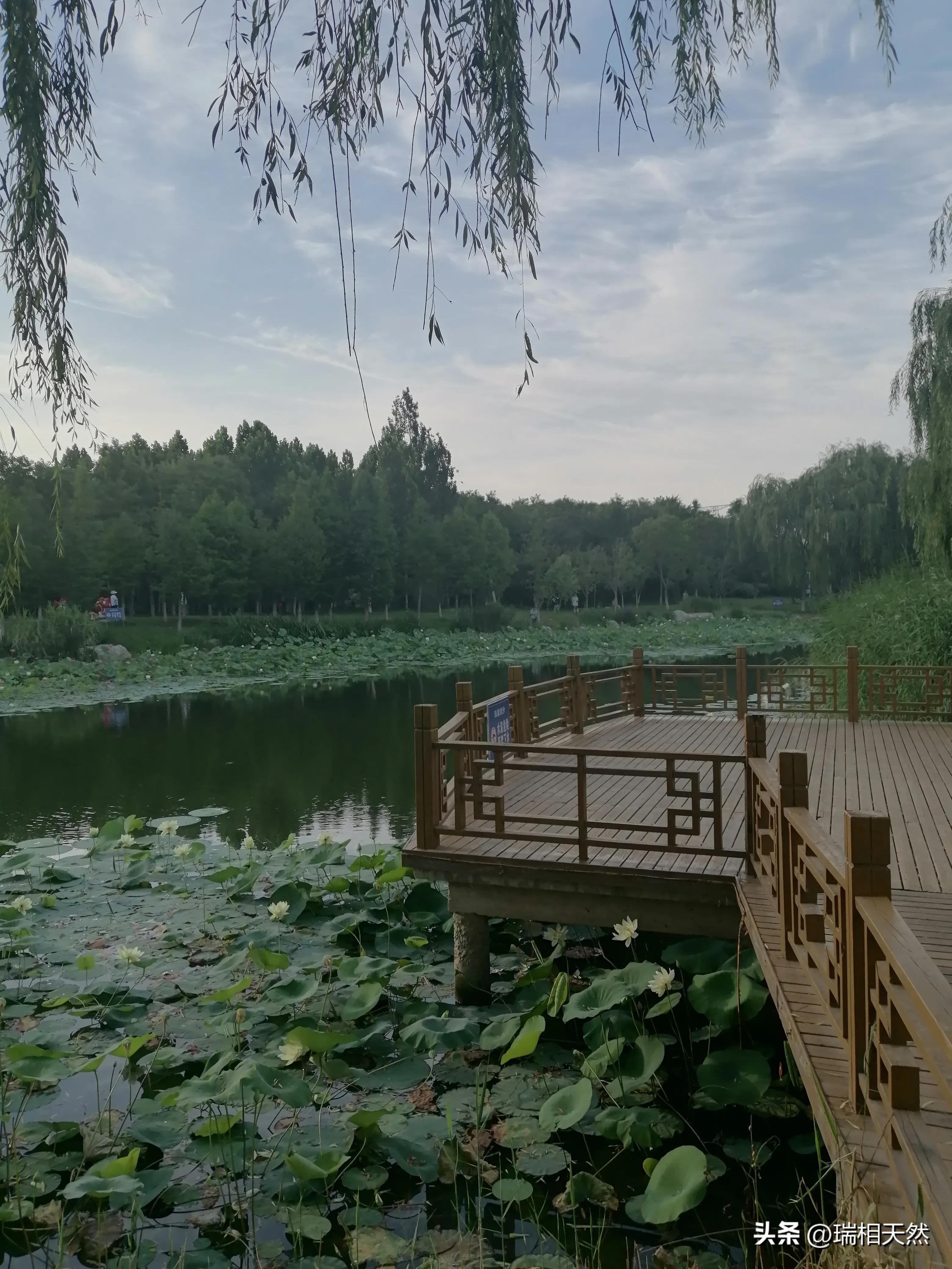 原创律诗或绝句三首,随笔三首情诗原创