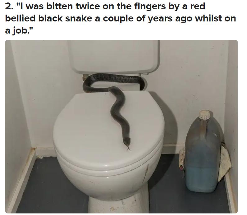 被毒的动物咬了会发生什么,亲身体验被有毒的动物咬